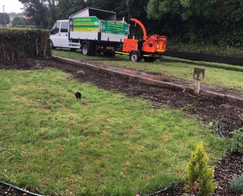 JG Tree Servives 14 JG Tree Servives 14